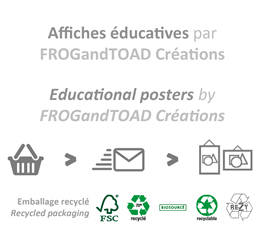 Affiches éducatives / Educational Posters Link - FROGandTOAD Créations